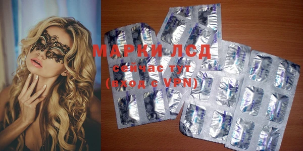 ECSTASY Алзамай