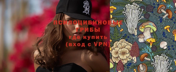 хмурый Новозыбков