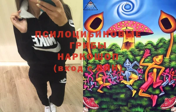 PSILOCYBIN Абаза
